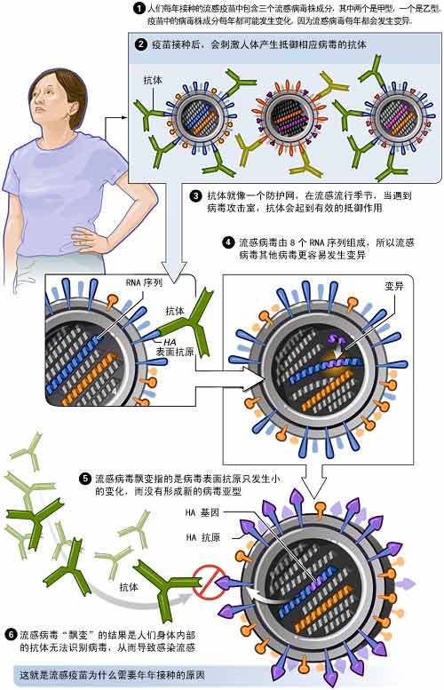 全球关注，最新甲流病毒及其应对策略